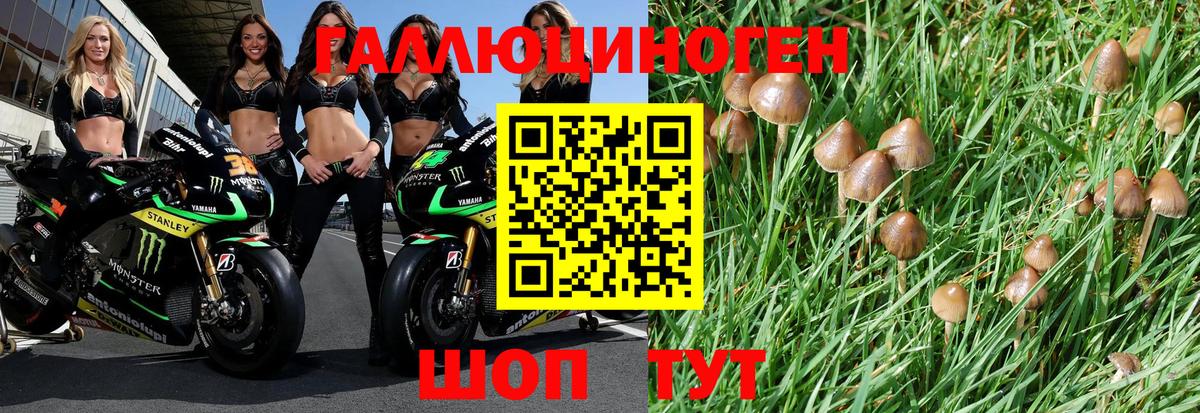 Галлюциногенные грибы ЛСД  Вход с VPN  Амурск 